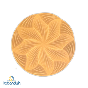 پنل سه حالته منشوری 70 وات پارس سهیل کد 2357